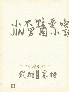 小不点爱吃肉混JIN男团小说