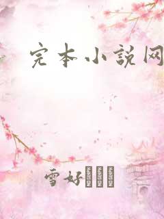完本小说网