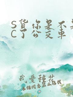 S货你是不是欠C了公交车