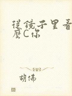 从镜子里看我怎么C你