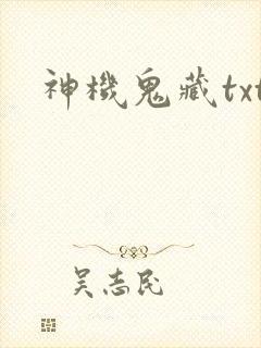 神机鬼藏txt