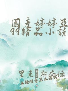 国产婷婷亚洲999精品小说