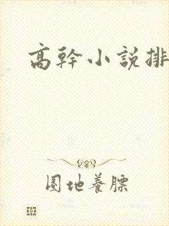 高干小说排行榜