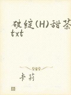 破绽(H)甜茶txt