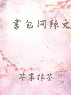 书包网辣文