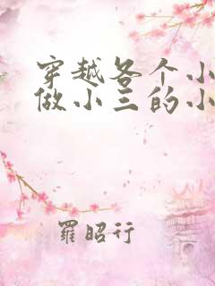 穿越各个小世界做小三的小说