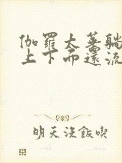 伽罗太华躺在床上下面还流东西