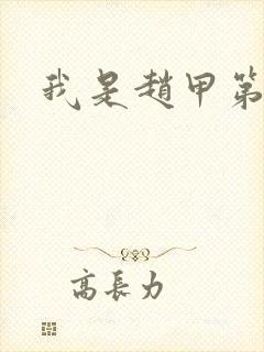 我是赵甲第小说