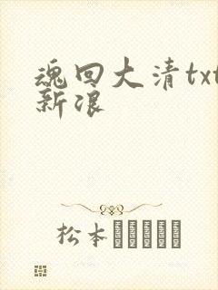 魂回大清txt新浪
