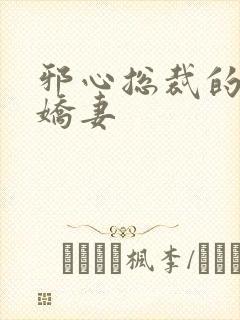 邪心总裁的纯情娇妻