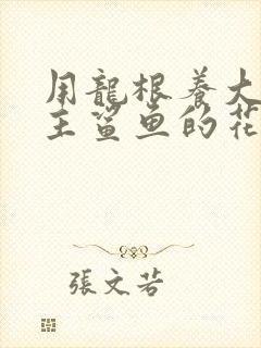 用龙根养大的公主鲨鱼的花