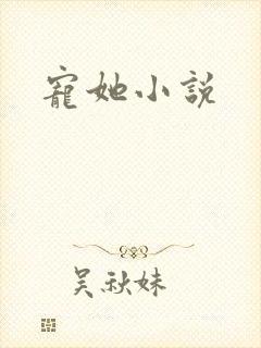 宠她小说