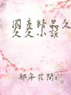 国产精品久久久久久小说