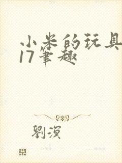 小米的玩具日记17笔趣