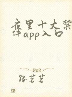 夜里十大禁用软件app入口