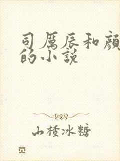 司厉辰和颜辞兮的小说