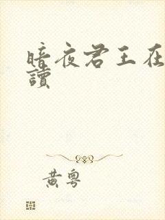 暗夜君王在线阅读