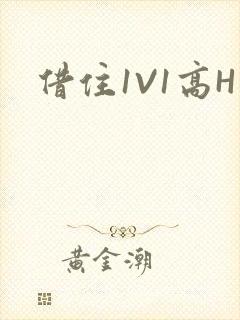借住1V1高H