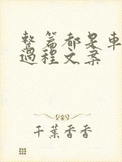 整篇都是车的肉过程文案