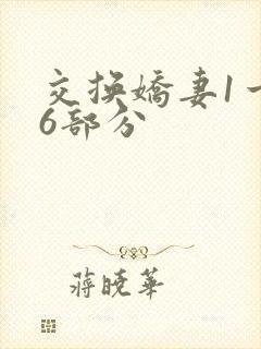 交换娇妻1一36部分