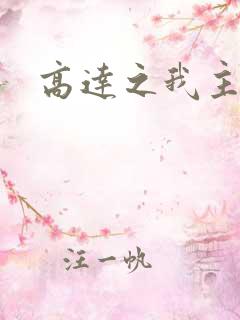 高达之我主沉浮