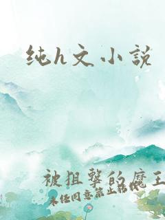 纯h文小说