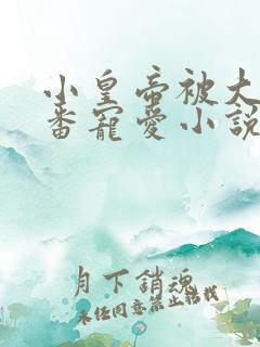 小皇帝被大臣轮番宠爱小说