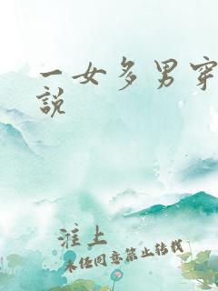 一女多男穿越小说