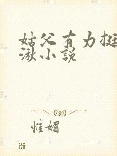 姑父有力挺送徐湫小说