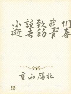 小说致我们终将逝去的青春