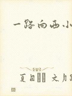 一路向西小说