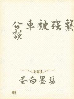 公车被强系列小说