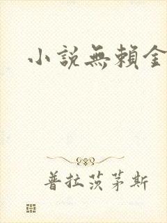小说无赖金仙
