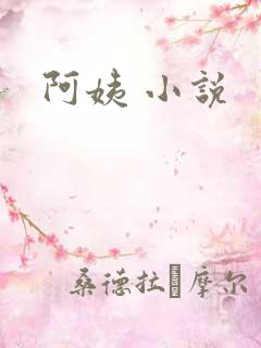 阿姨 小说