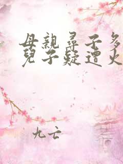 母亲寻子多年 儿子疑遭火车撞击身亡