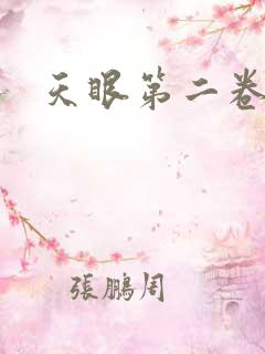 天眼第二卷
