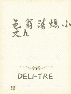 色翁荡熄小说全文h