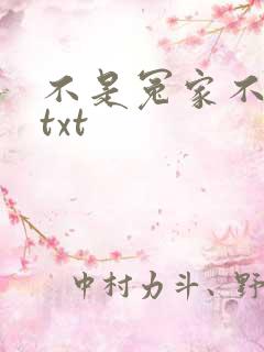不是冤家不聚头txt