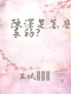 陈泽是怎么火起来的?