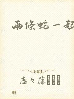 两条蛇一起要我