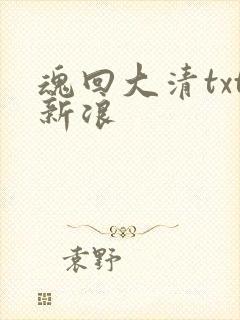 魂回大清txt新浪