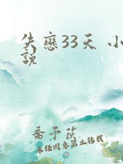 失恋33天 小说