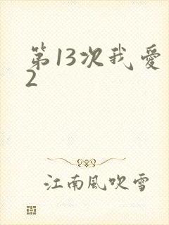 第13次我爱你2