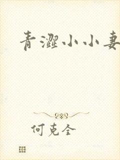 青涩小小妻