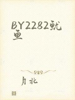 BY2282鱿鱼