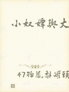 小奴婢与大少爷