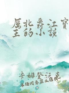 厉北爵江宝宝男主的小说