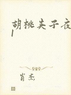 胡桃夹子夜未眠1