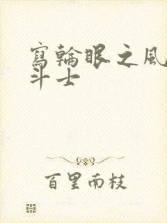写轮眼之风流圣斗士