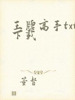 王牌高手txt下载